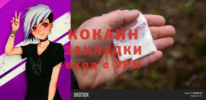 Cocaine FishScale  где можно купить   Лиски 